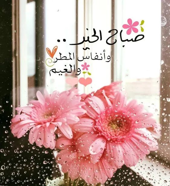 احلى صباح الخير