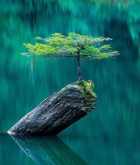 pictures-quotes-nature-photos