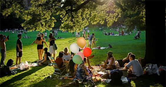 Parque Ibirapuera. Brazil. Piquenique de inauguração do Bosque da Leitura - 18 de outubro