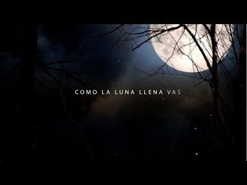 Alberto Plaza Como La Luna Llena Vas Videolyric Youtube Luna Llena Plaza Canciones