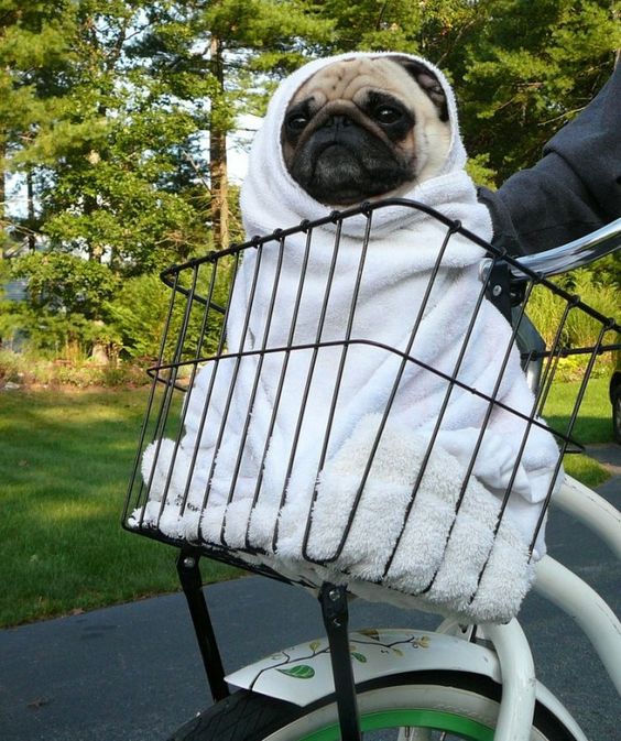 E.T. phone home.