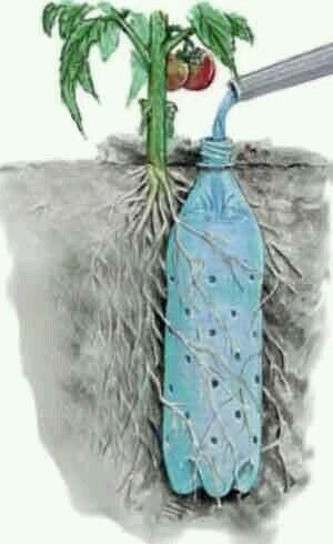 Irrigation Water Bottle Buried. Source: Pinterest