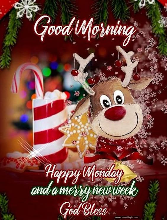 Good Morning Happy Monday Have A Merry New Week