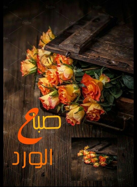 خيركم من رد السلام السلام عليكم ورحمة الله وبركاته وآخر دعوانا ب صباح يتخلله بالصلاة على نبينا Good Morning Arabic Good Morning Good Night Good Morning Images