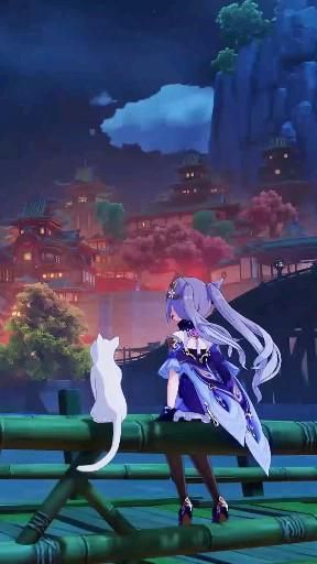 Keqing and Cat staring at sky
