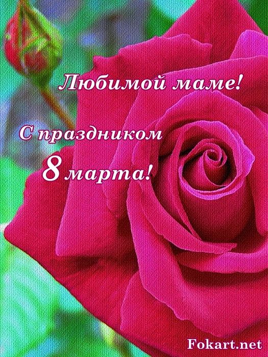 Krasivaya Roza Otkrytka Mame S 8 Marta Rozy Krasivye Rozy Otkrytki