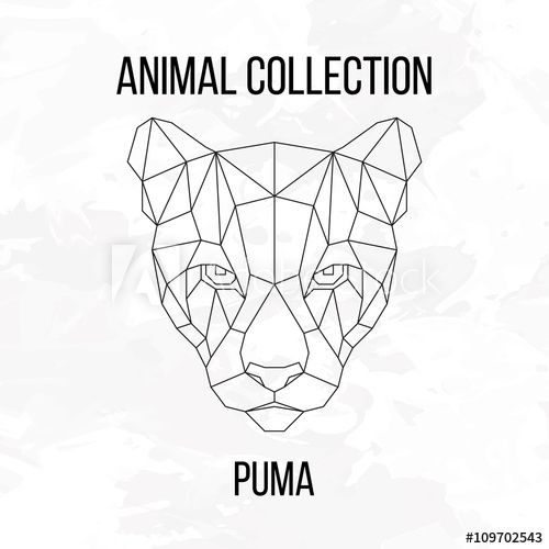 acheter un puma animal acheter un puma animal