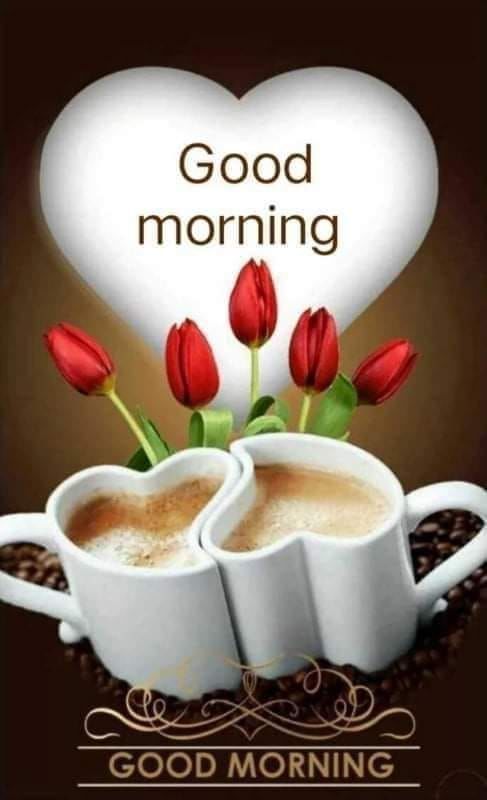 Coffee & Tulips Good Morning Quote