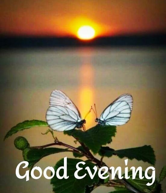 Good Evening Images