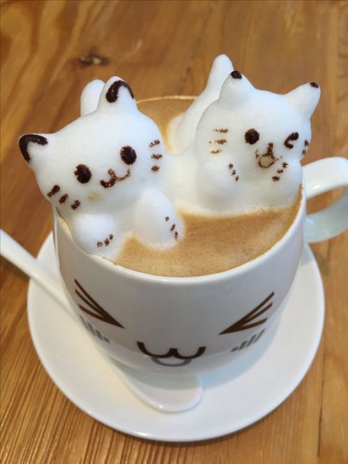 10 Unmistakable Signs That You Love Singapore S Local Food In 2020 Local Food How To Order Coffee Singapore