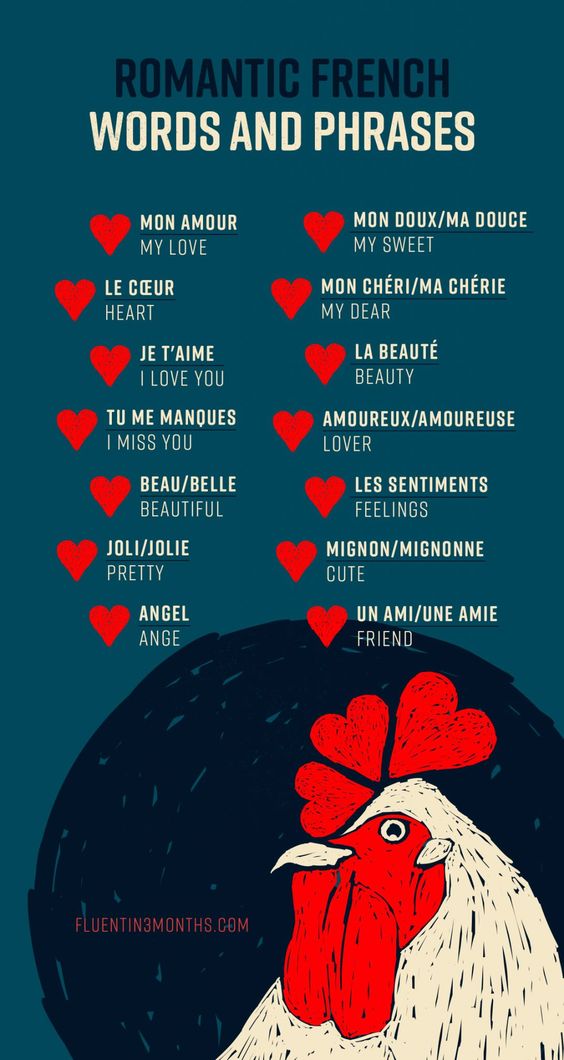 https://www.fluentin3months.com/wp-content/uploads/2021/09/fb-how-to-say-my-love-in-french.jpg