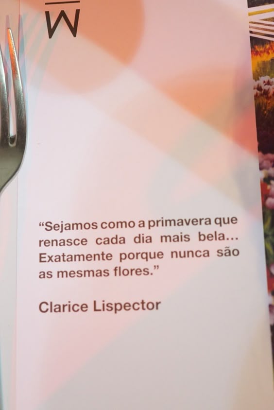 "Sejamos como a primavera que renasce cada dia mais bela ... Exatamente porque nunca são as mesmas flores." - Clarice Lispector