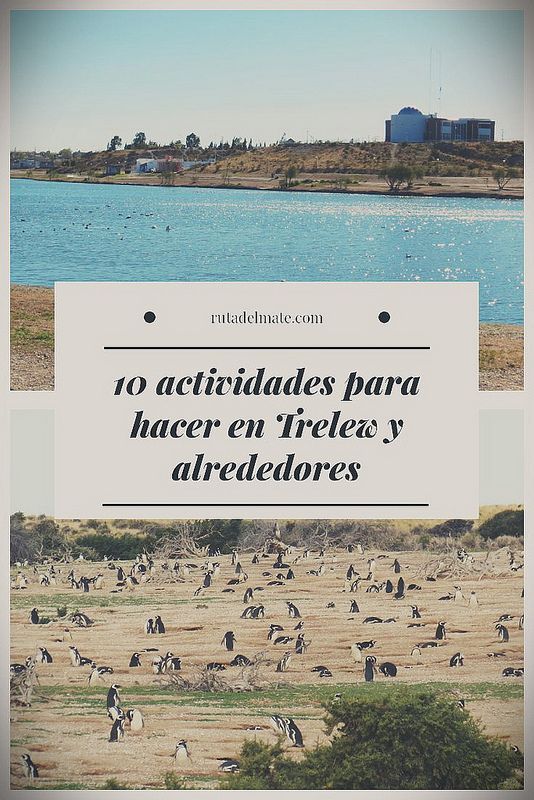 10 Lugares Que Ver En Trelew Y Alrededores Ruta Del Mate Vacaciones En Argentina Viaje Argentina Viajes Fotos