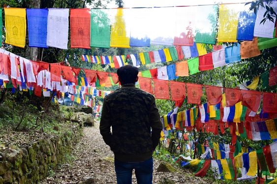Pelling to Yuksom Stunning route tour of West Sikkim | Rimbi waterfalls