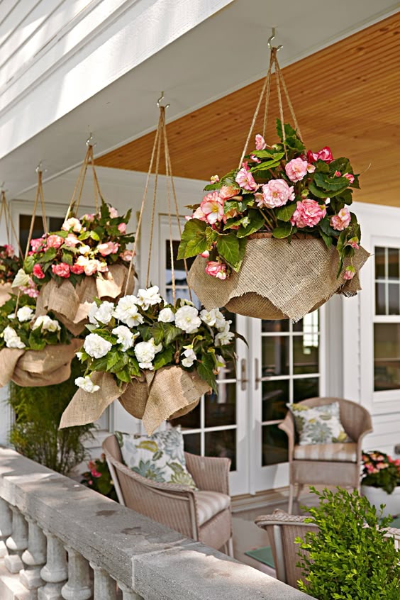 Plantas suspensas: ideias de decoração com plantas pendentes