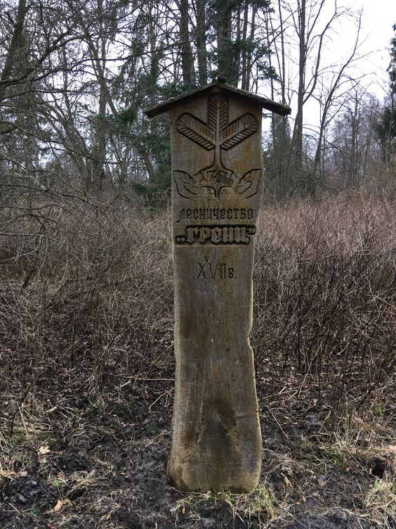 Лесничество