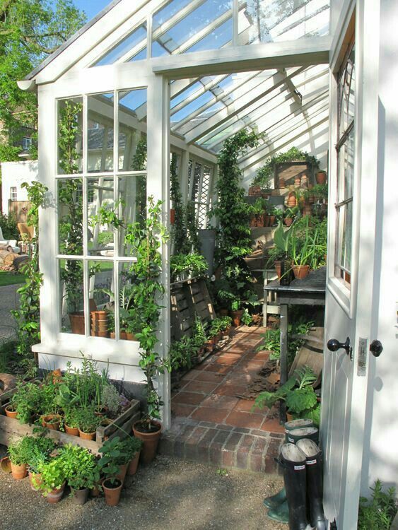 Wow Amazing Greenhouse Ideas Greenhouseproject Diy Lean To Gardening Shed Small Greenhouse Gardening, Small Outdoor Greenhouse For Winter