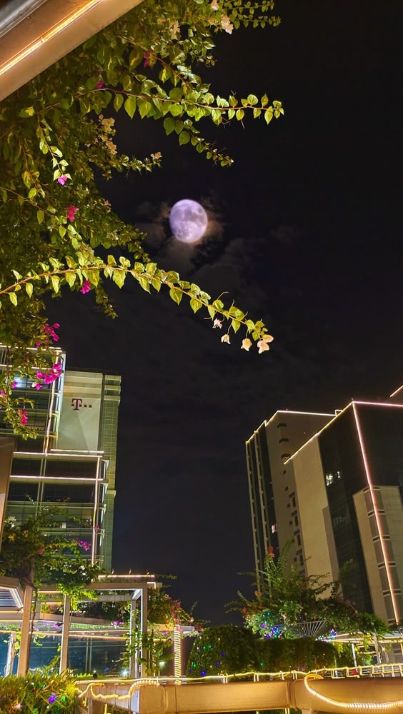 Moon photography
