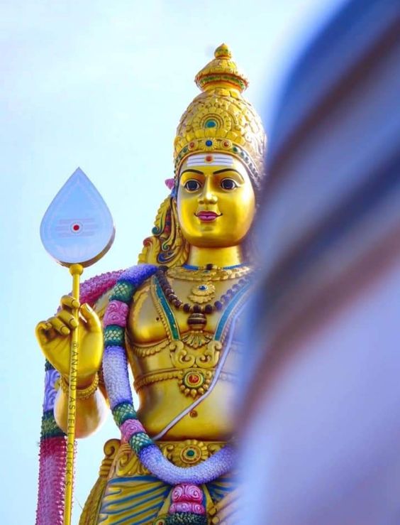 janavar-photo-3d