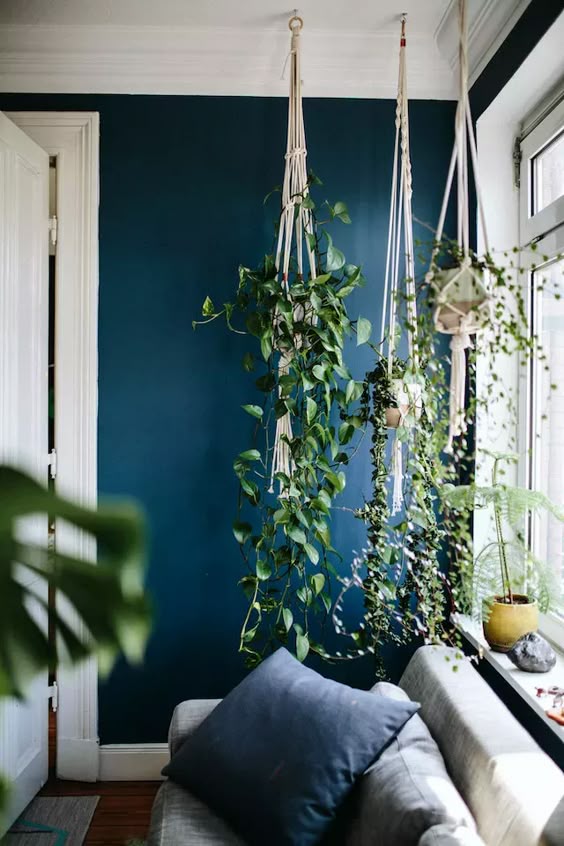 Pour donner un style urban jungle à son appartement, rien de mieux que les pots suspendus en macramé sur un mur bleu canard dans le salon
