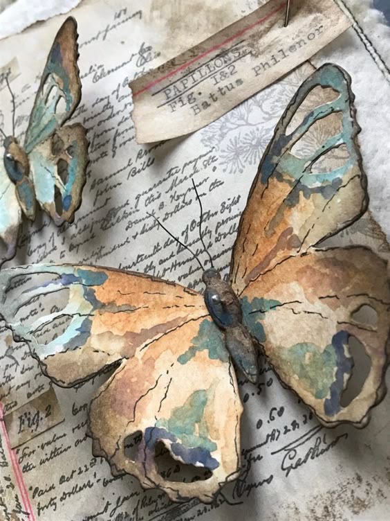 A Collection of Tattered Butterflies