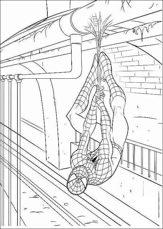 Coloriage A Imprimer Spiderman Pendu Tete En Bas Gratuit Coloriage Spiderman Coloriage Spiderman à Imprimer Coloriage
