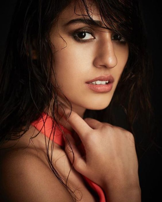 Disha Patani Photos: 35 hot and beautiful photos of Disha, Instagram photo gallery, candid pictures and images | PINKVILLA
