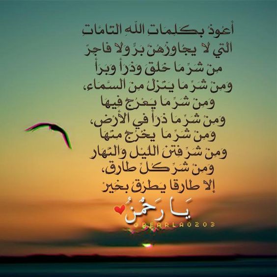 Pin By خليفه On اذكارات Quotations Books Notes