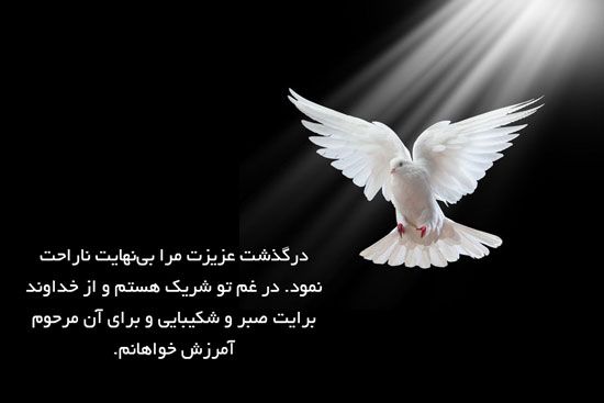 عکس نوشته پیام تسلیت به دوست Doves Release Dove Bird