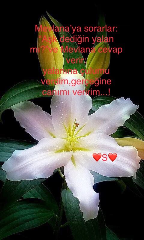 Seda Ozlu Sozler Ask Siir Seda Ozlu Sozler Ask Siir