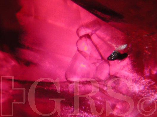 Tube Like Inclusions With Growth Zoning In An African Ruby Gemology Ruby Inclusion