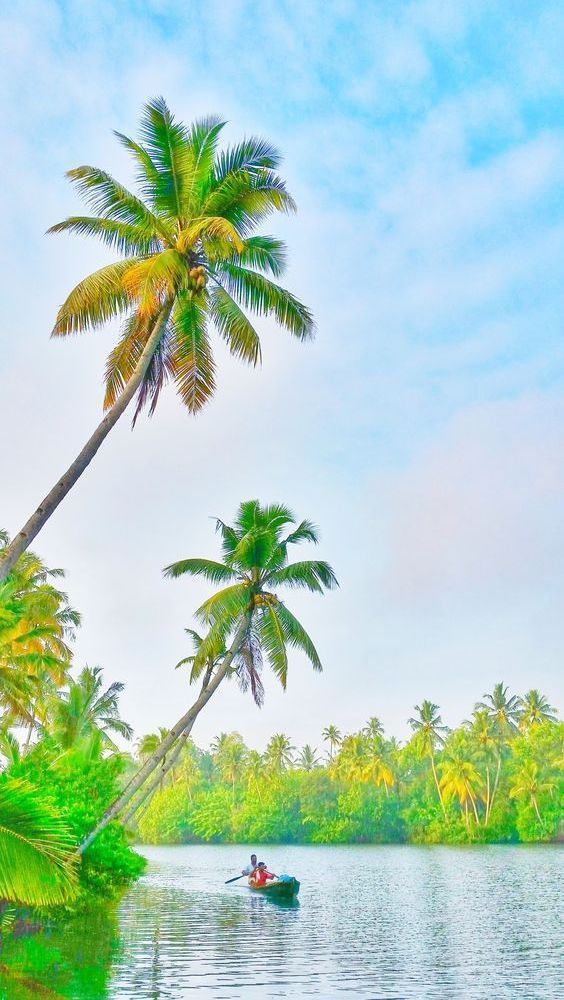 South India backwaters picture