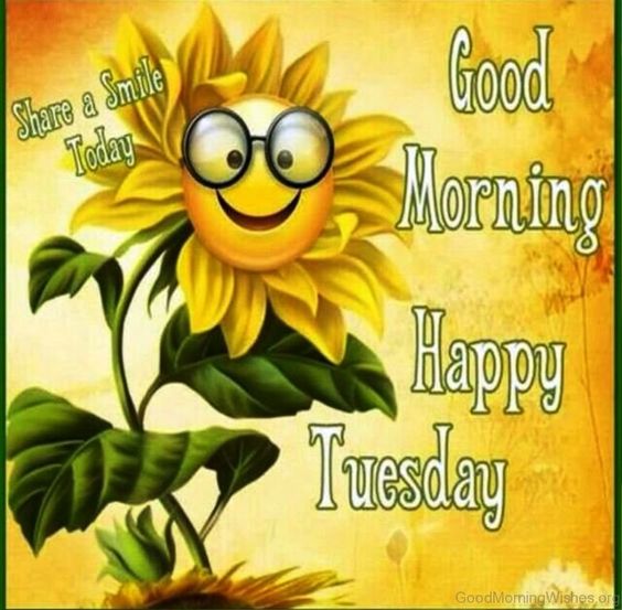 happy-tuesday