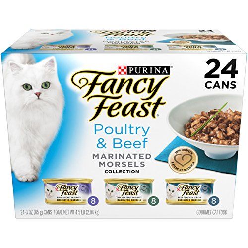 Royal Canin Feline Health Nutrition Digest Sensitive Loaf In Sauce Canned Cat Food In 2020 Sensitive Stomach Cat Food Best Cat Food Canned Cat Food