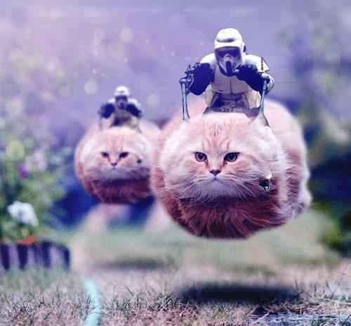 This method of transport. | 37 Things Only "Star Wars" Fans Will Find Funny