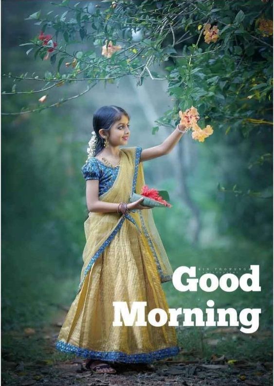 good-morning-kerala-nature-photos