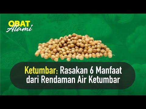 Pin Di Obat Herbal Alami Yang Mujarab Dan Ampuh