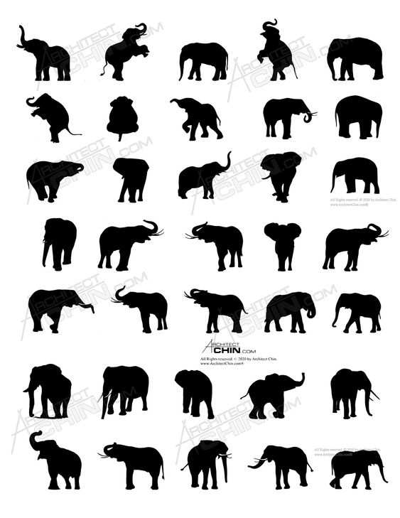 Elephant Silhouette, Printable, Digital Download, Elephant Clip Art, Animal Silhouette, Animal Clip Art, Mugs, Animal Graphics, Animal, PNG