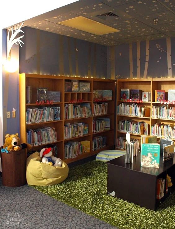 Elementary School Library Reveal