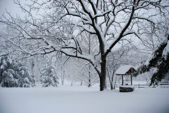 The Great Winter Of 1949 Was One Of Idaho\'s Worst Natural Disasters