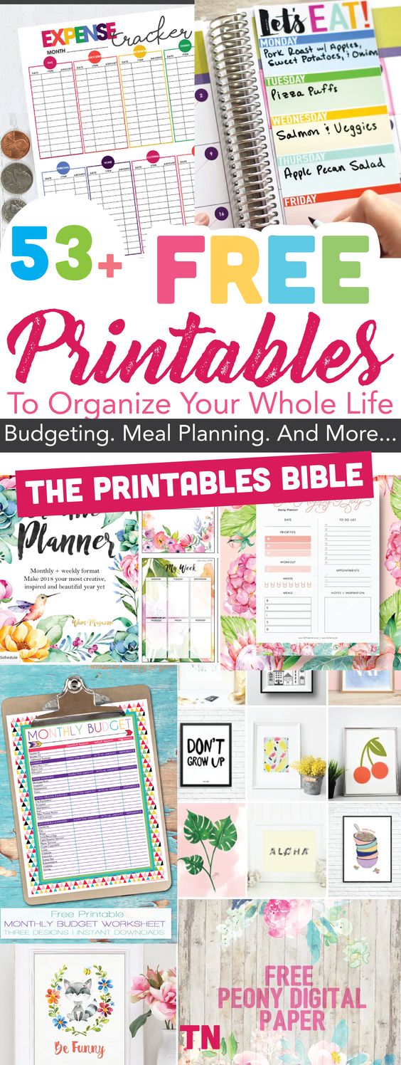 free printables, Life Organization Printables, Free Home Management Binder Printables, Binder Organization System