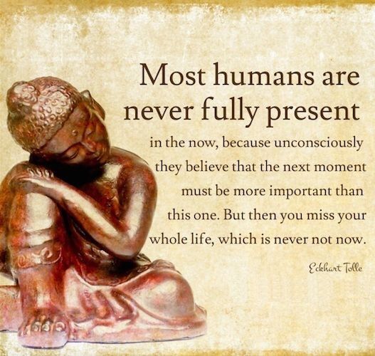 11 Inspirational Quotes About Being Present Audi Quote 11 Inspirational Quotes About Being Present Audi Quote