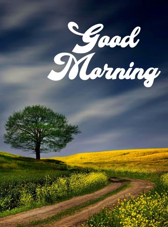 Good Morning nature images (13) - Image Diamond