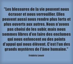 Résultat de recherche d'images pour "frederic lenoir citations"