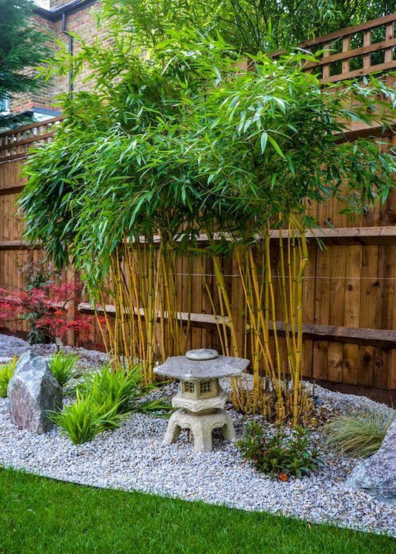 Garden Gardendesignideas Gardeningideas Smallgarden Small