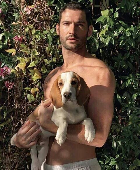 Tobias Rapier aka Tom Ellis 140b1108966214a25c0c9c6d80ef1a7d