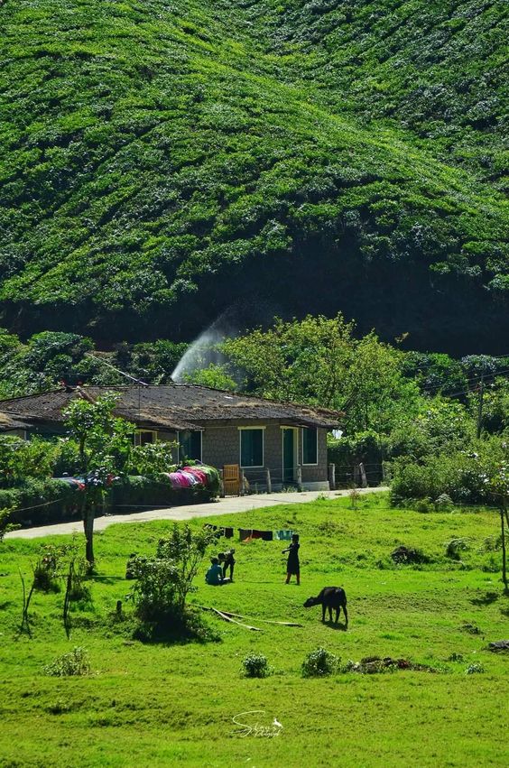 Tourist Places To visit in kerala | Beauty of Kerala- Tourism (Posts tagged travel)