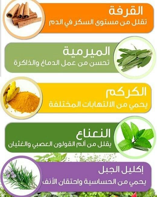 اعشاب مفيدة للقولون Plants