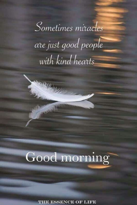 100+ Good Morning Quotes with Beautiful Images