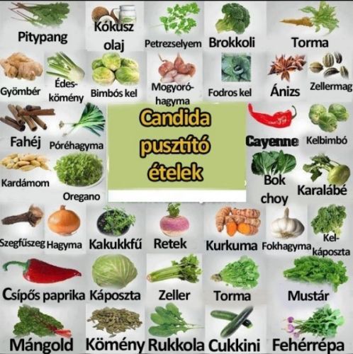 candidiasis természetes kezelés májtisztító viteldíjak